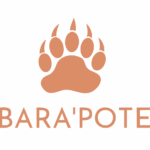 LOGO BARAPOTE
