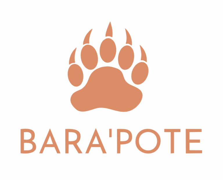 LOGO BARAPOTE