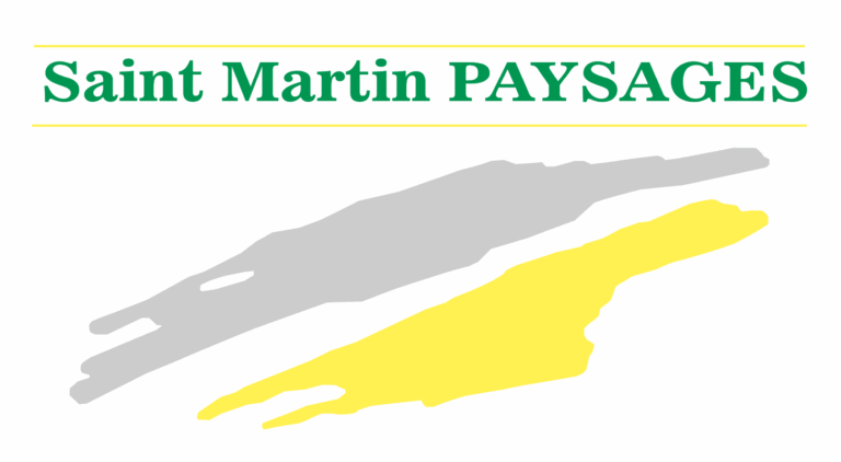 logo-STMARTIN
